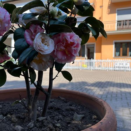 Ca Del Fili Villa Lenno Eksteriør bilde