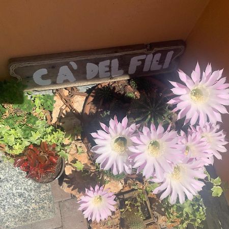 Ca Del Fili Villa Lenno Eksteriør bilde