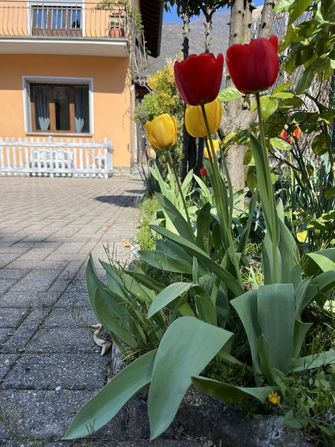 Ca Del Fili Villa Lenno Eksteriør bilde