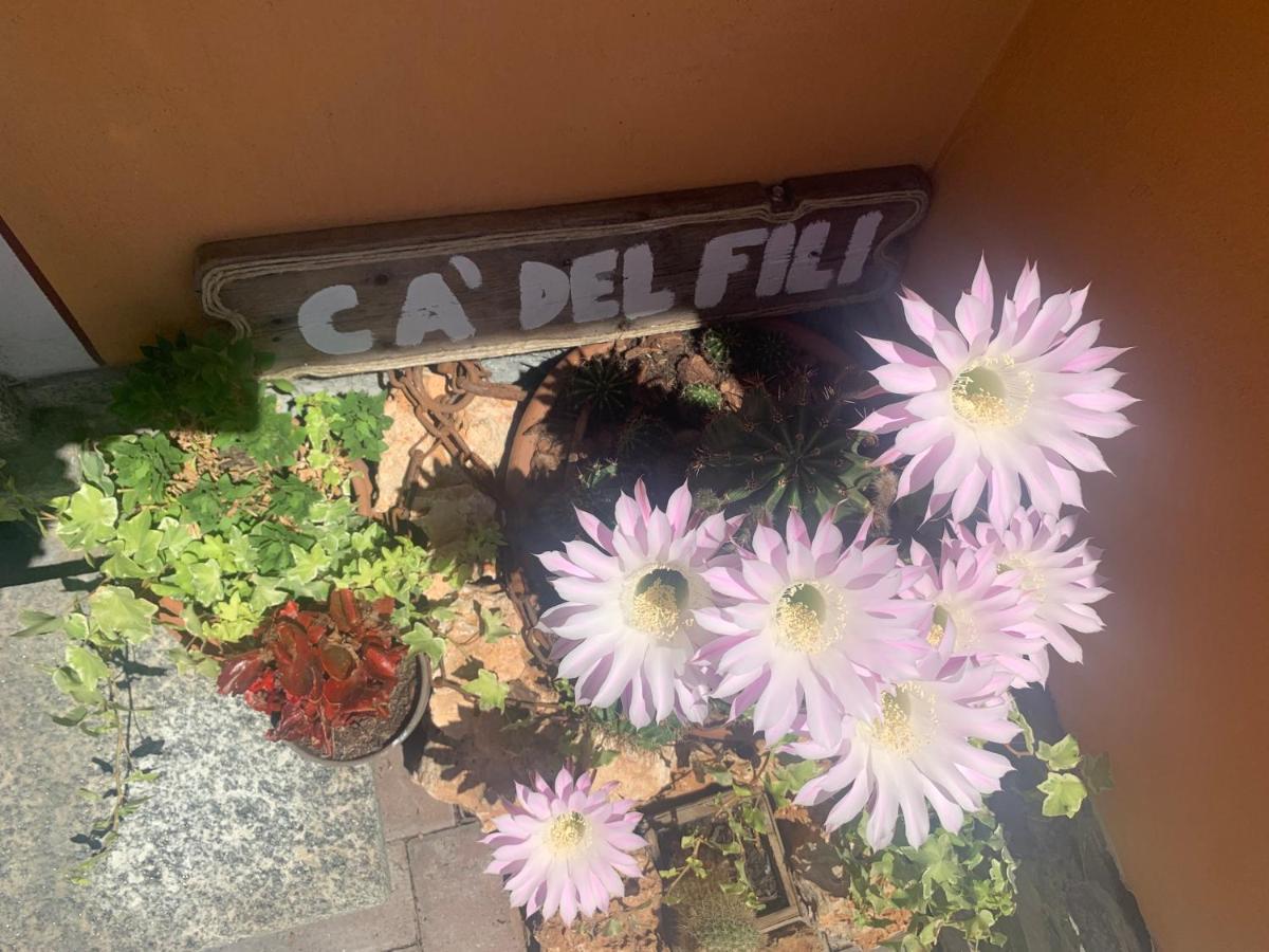 Ca Del Fili Villa Lenno Eksteriør bilde